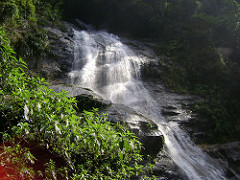 cascade dans la forêt tropicale de rio 