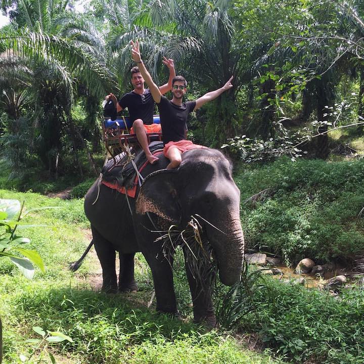safari en elephant dans la jungle de phuket