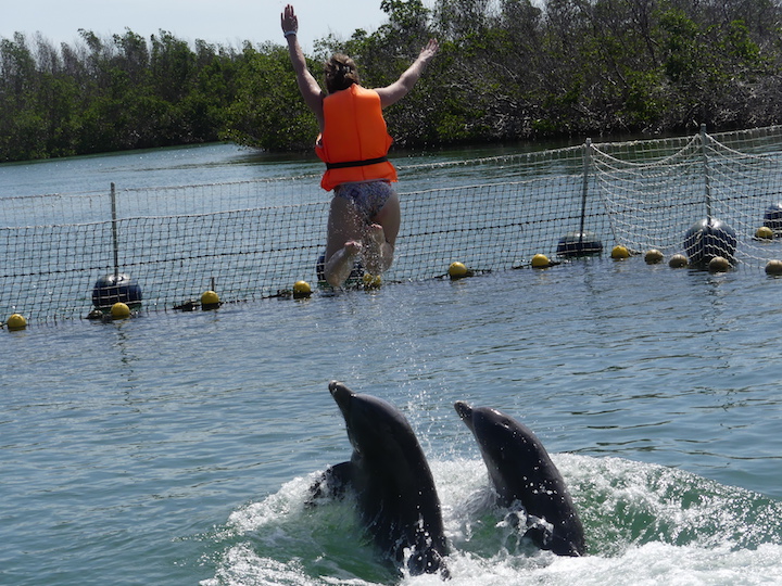 nage avec les dauphins cuba