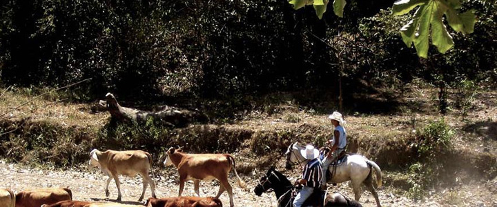 fête du cow boy traditions Costa Rica