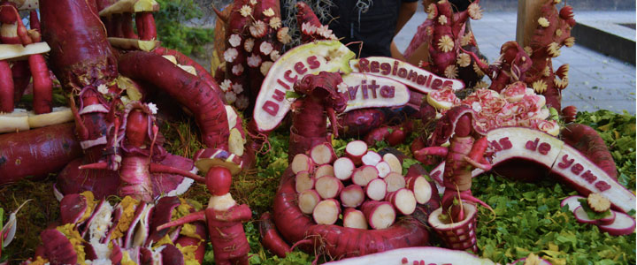 oaxaca fête des radis