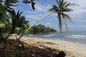 plage cahuita