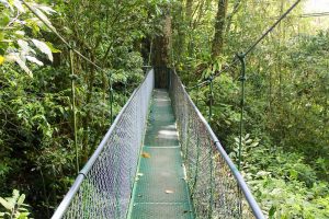 pont suspendu costa rica monteverde