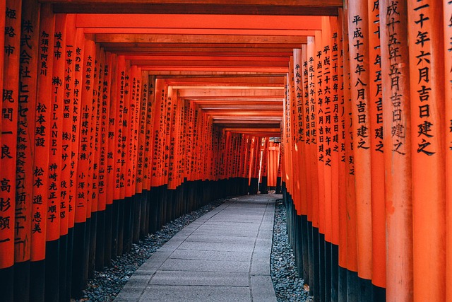 toriis Fushimi Inari-taisha